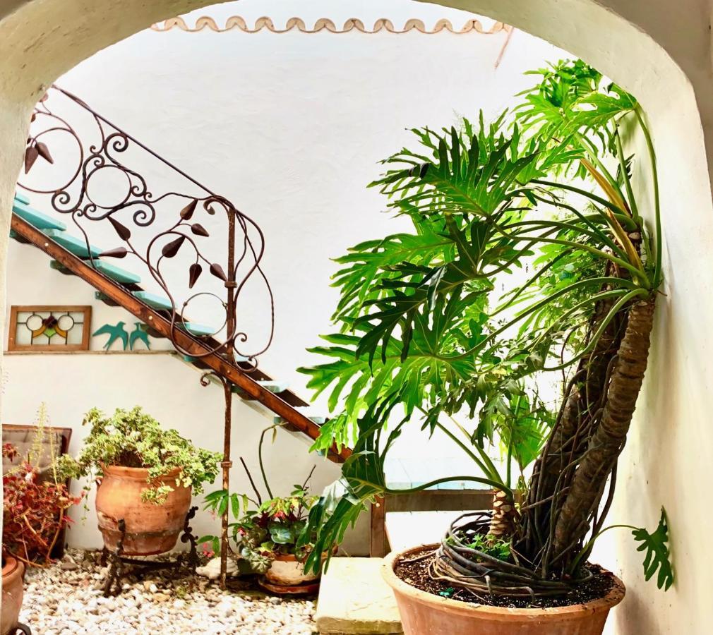 Casa Del Teatro Luxury Casas Vejer Debra Villa Vejer de la Frontera Eksteriør billede